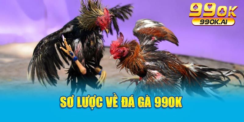 Sơ lược về đá gà 99OK 