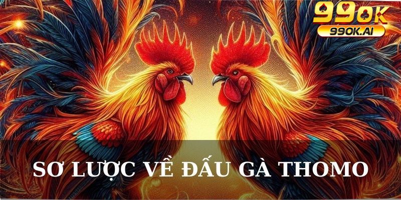 Sơ lược về đấu gà Thomo