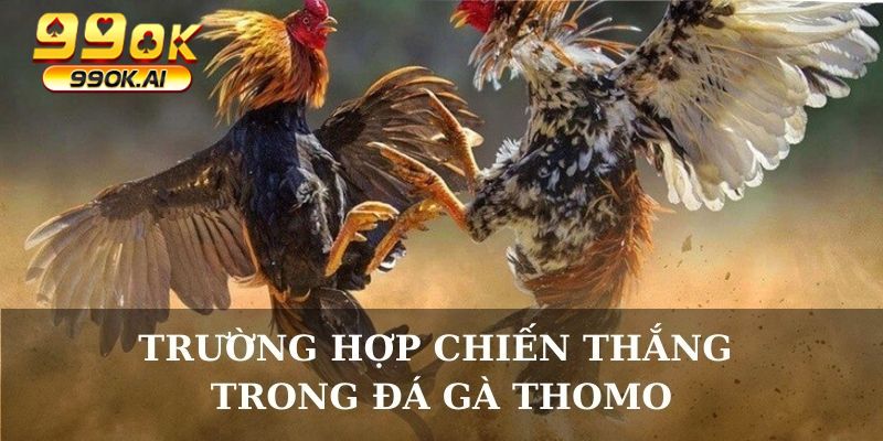 Trường hợp chiến thắng trong đá gà Thomo